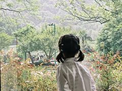 -中国茶叶博物馆(双峰馆区)