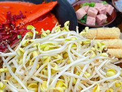 -阳阳老火锅(小南门店)