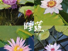 -国家植物园
