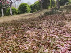 -郑州植物园
