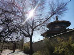 -大钟寺古钟博物馆