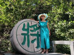 -苍山感通索道