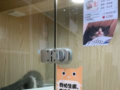 -屋虎猫馆(宝安大仟里店)