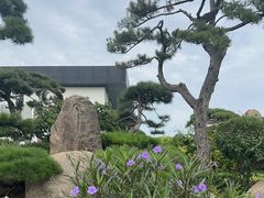 -罗红摄影艺术馆