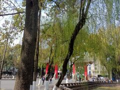 -四川大学(望江校区)