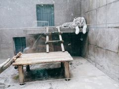 -西安秦岭野生动物园