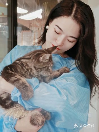 ️在这里和你命中注定的猫咪相遇~