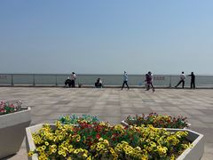 -东疆理想海岸沙滩景区
