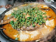 -探鱼·鲜青椒爽麻烤鱼(领展购物广场店)
