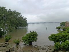 -宝安西湾红树林湿地公园