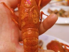 -霸王虾·小龙虾香辣蟹(玉林店)