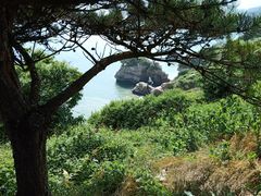 -朝阳公园游乐园