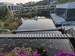 -厦门国家会计学院