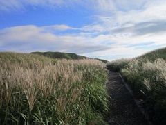 iphone_upload_pic-萍乡武功山风景名胜区