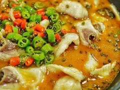-盛宏鑫·四川鲜鱼馆(一元路店)