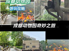 -成都动物园