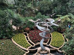 -南山植物园