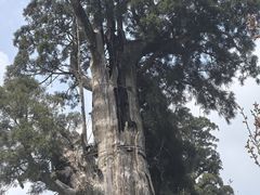 -云中大漈