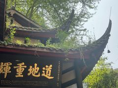 -青城山