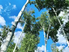 -长春市南湖公园