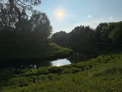 -黑龙江省森林植物园
