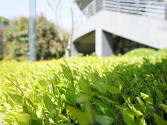 -杭州城北体育公园