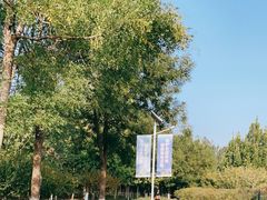 -永定河休闲森林公园