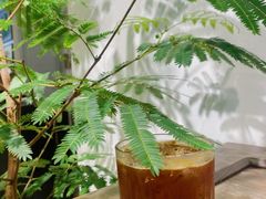 -自由生长植物工作室(深港花卉中心店)