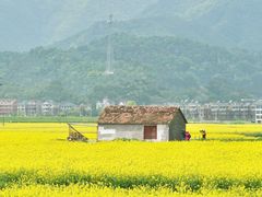 -东梓关景区村庄