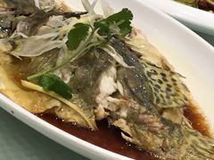-双井轩(双井店)