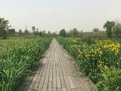 -白鹭湾湿地公园