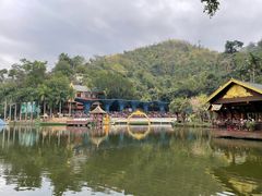 -西双版纳原始森林公园