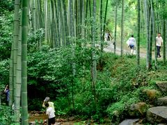 -黄公望隐居地