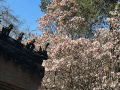 -潭柘寺景区