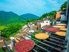 -婺源风景区