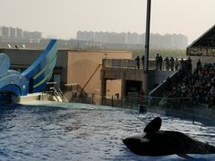 -上海海昌海洋公园