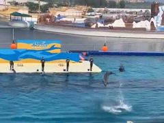 -秦皇岛乐岛海洋王国