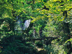 -龙苍沟森林公园