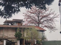 -喜洲吧·江畔老船厂·庭院餐厅(喜临院店)