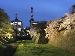 -名古屋城