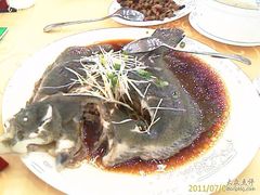 多宝鱼-海岛渔村大酒店(云霄路店)
