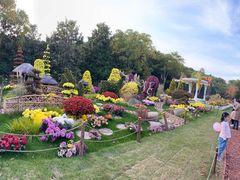 -共青国家森林公园-南大门停车场