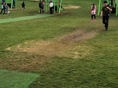 -迪茵湖田家舍生态农场