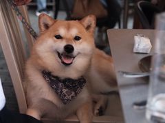 -Ocean's Table 欧舍