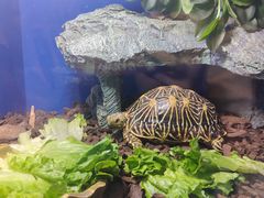 -上海海洋水族馆