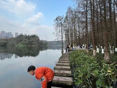-重庆彩云湖湿地公园