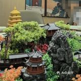 谁说北京是美食荒漠～这家唐玄葫芦鸡必打卡！