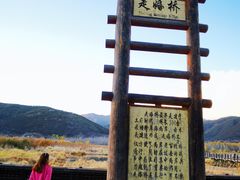 -泸沽湖国家级风景名胜区走婚桥