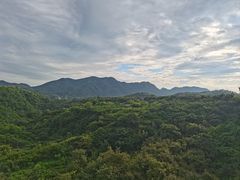 -梨木台悦来客农家院