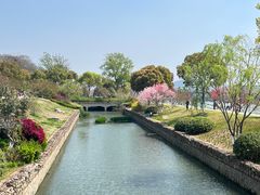 -羊山湖公园